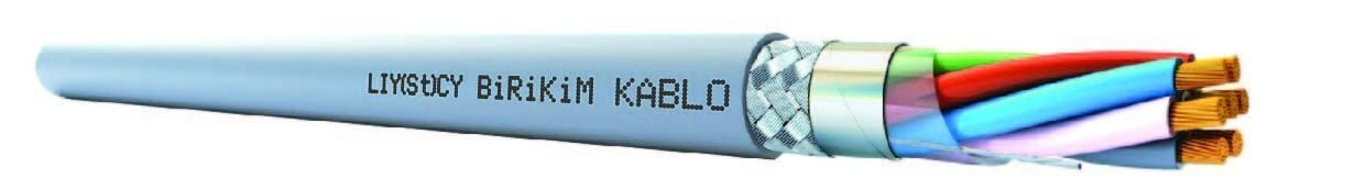 10X0,22MM LIYCY KABLO (TOP OLARAK SATILAMKTADIR.1 TOP 100 METRE)