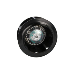R3G250-AV29-B1