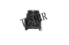 24VDC BUZZER